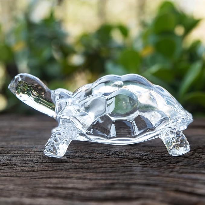 Crystal Kasav