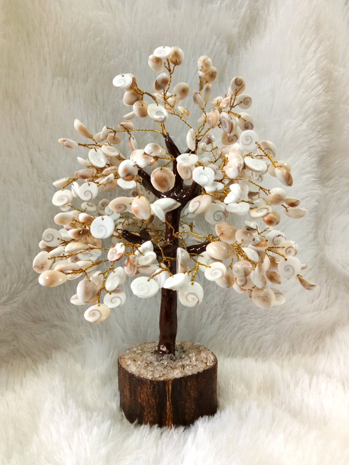 Gomti Chakra Tree